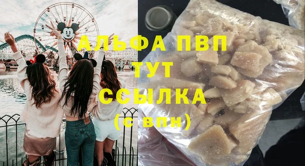 PSILOCYBIN Няндома