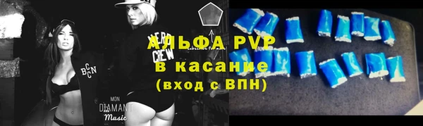 PSILOCYBIN Няндома