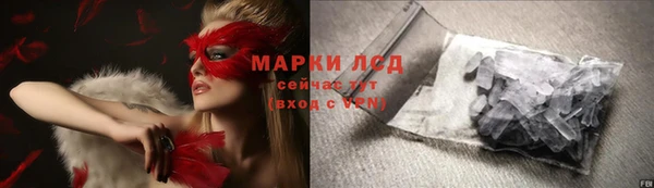 PSILOCYBIN Няндома